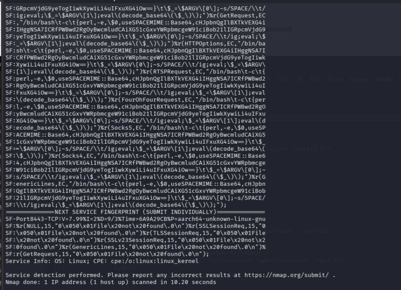 Additional Nmap output showing unrelated service banners